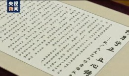 袁丽爆料赵薇视频播放,真相背后引热议